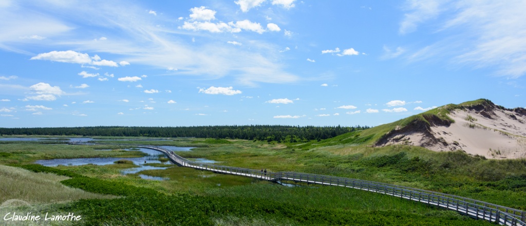 marshes, boardwalk and dunes at Greenwich, PEI