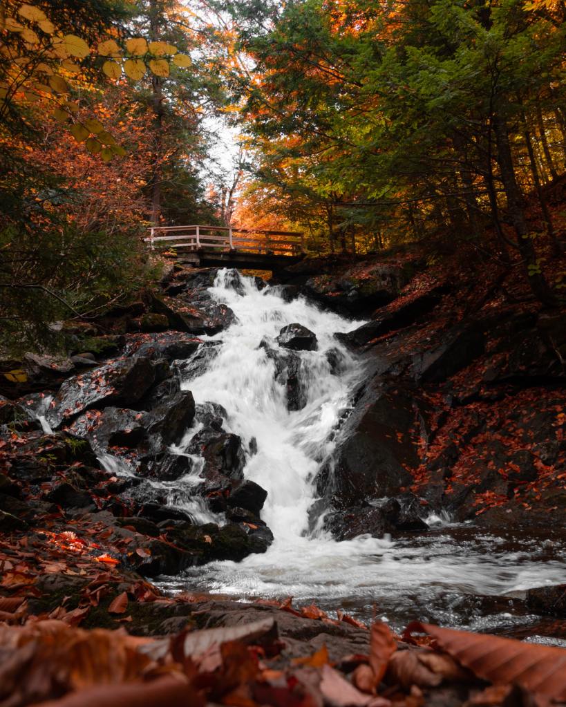 rushing waterfall surrounded by reddish fall foliage in Gatineau Park, Gatineau