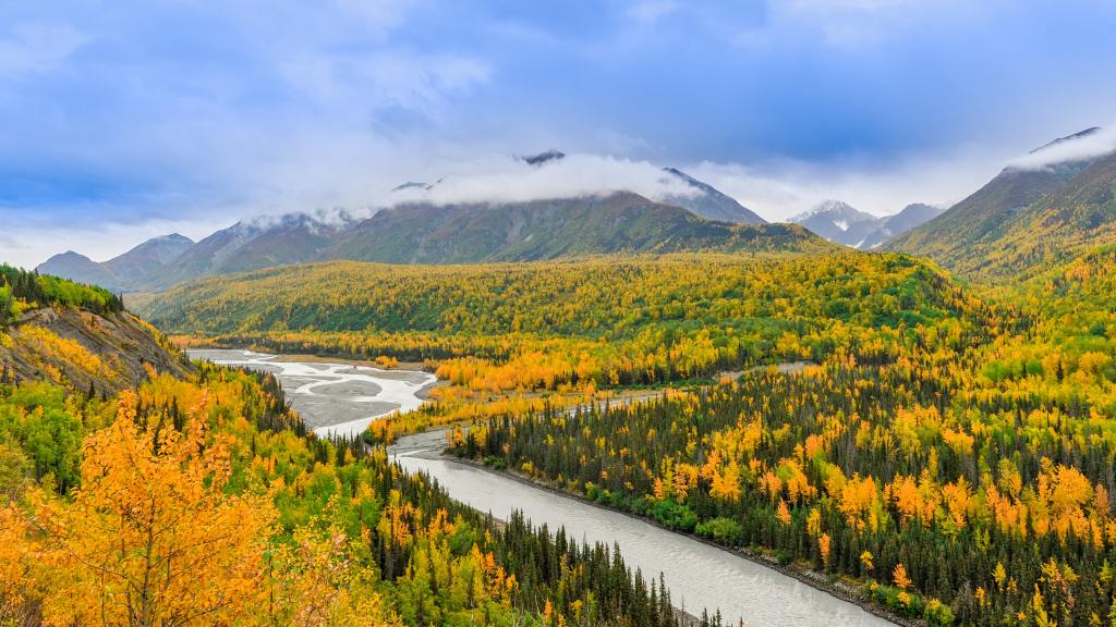 autumn forest landscape near the mountains and river near Anchorage